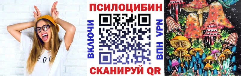 Галлюциногенные грибы мицелий  Лаишево 